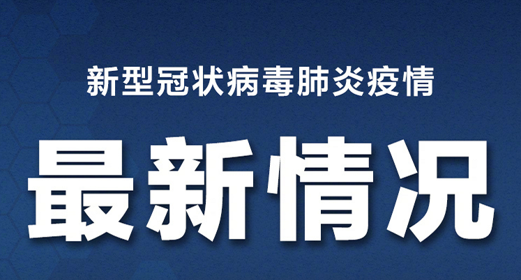 石家庄新增31例确诊:多人为老师-WordPress极简博客
