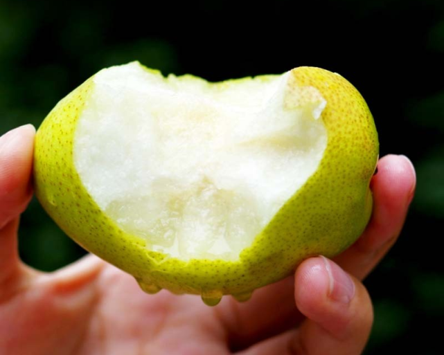 正宗新疆库尔勒香梨上市啦梨香十足咬一口果汁直接淌进喉咙里