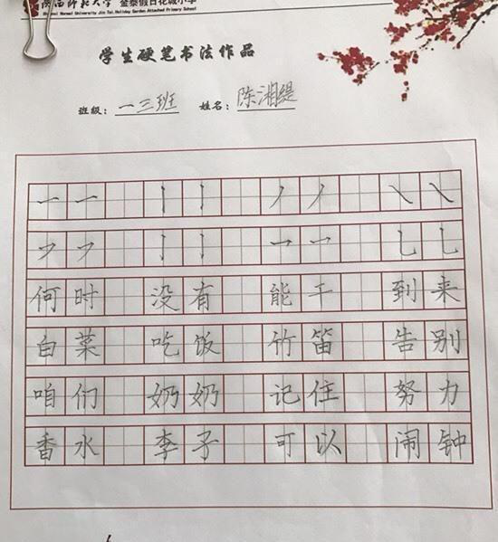 小学生语文作业在网上走红,字迹工整如印刷体,网友看后:好字!