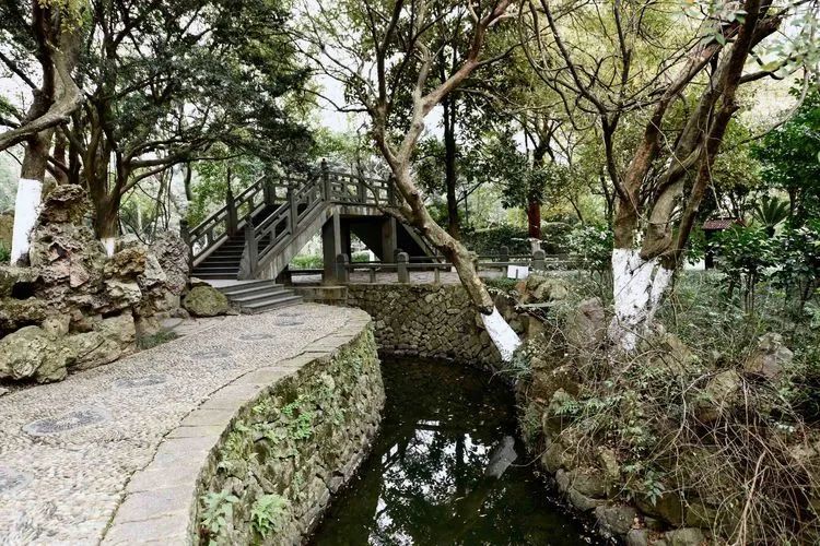 温州老照片小南门双莲桥人山人海