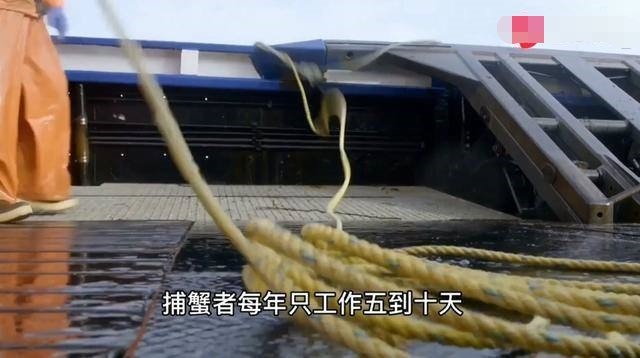 阿拉斯加捕蟹工 一年工作10天 收入百万 7天死1人 阿拉斯加 帝王蟹 加拿大 社会