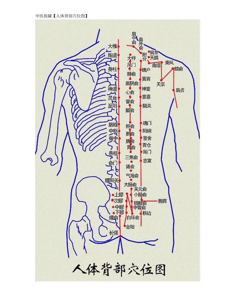 夏季养背,人体背部穴位,作用功效