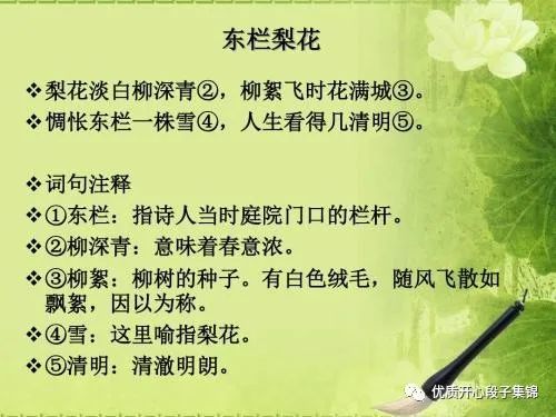 古诗词鉴赏-《东栏梨花》宋.苏轼