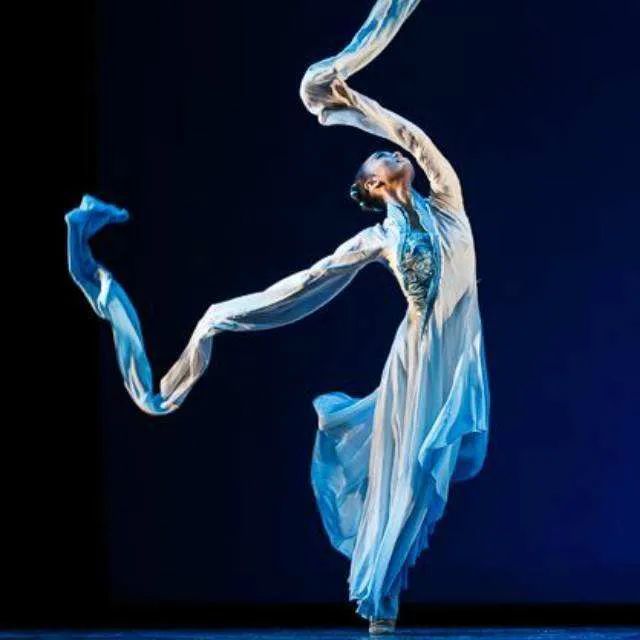 历代专业舞者长期的艺术实践传承下来的具有一定典范意义的特色舞蹈