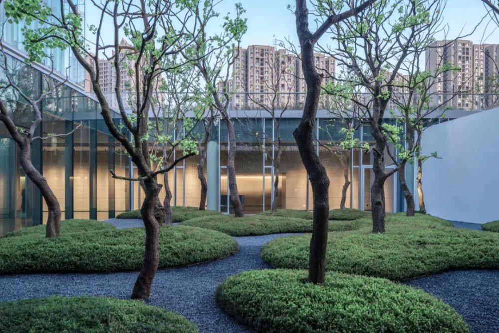 绝对主角乌桕太能演了