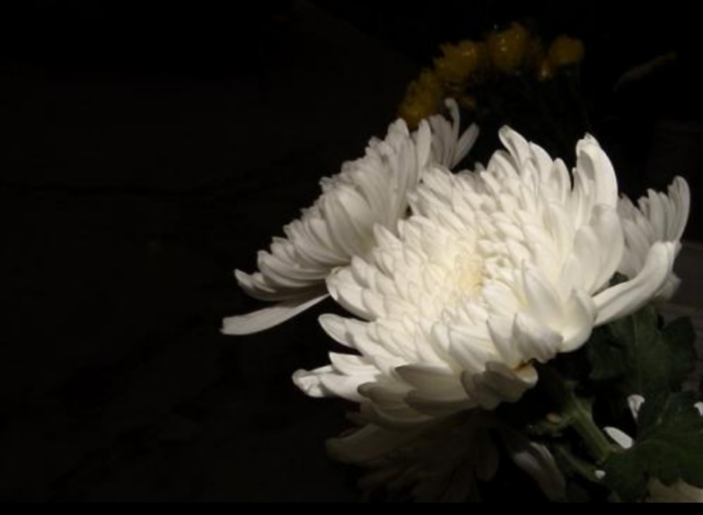 南通籍法学泰斗逝世!_腾讯新闻