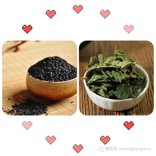 治疗脱发的千古名方桑麻丸