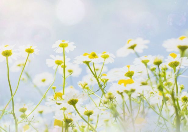 6月26日以下星座运势 天秤座爱情方面很热情 天蝎遇见新机会 腾讯新闻