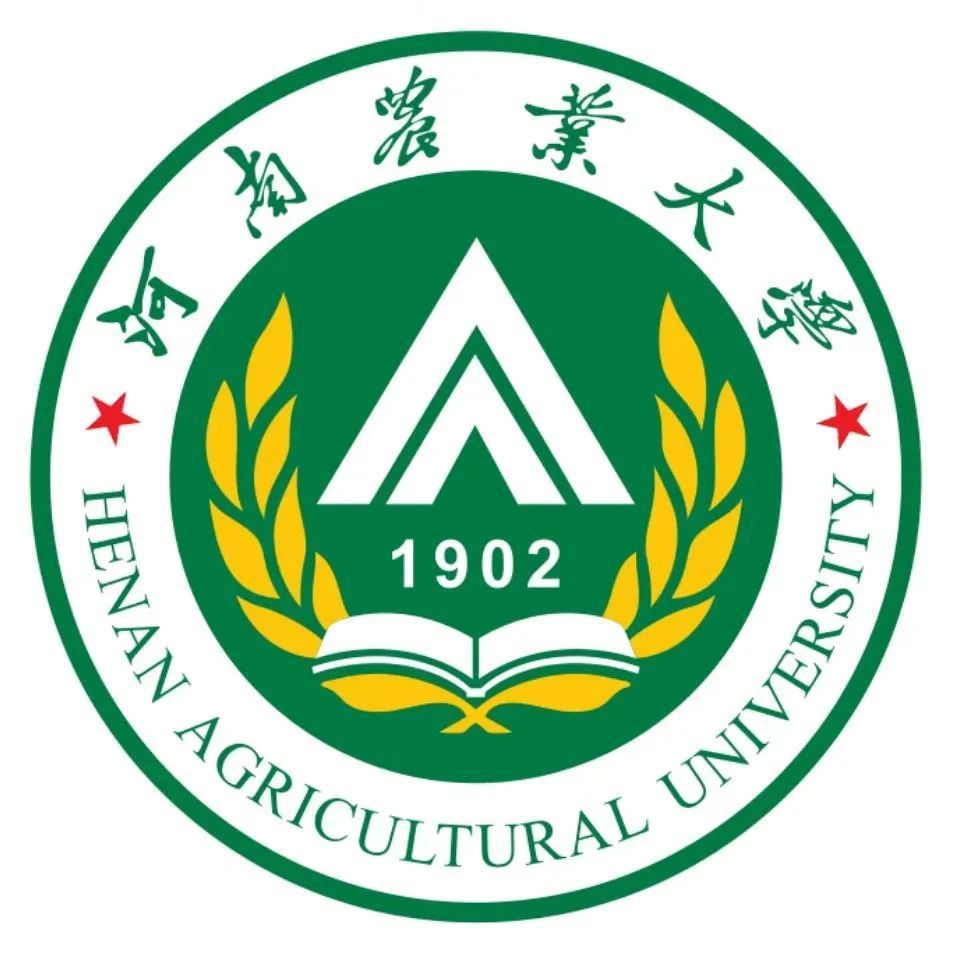 粽飘香,端午呈祥