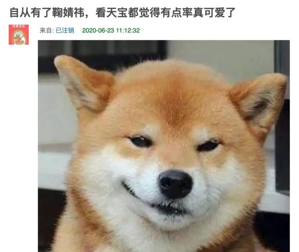 鞠婧祎|国际“巨星”鞠婧祎