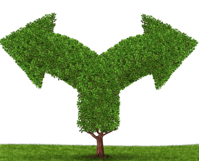 人生三大考看看哪一场是属于你自己的命运转折点