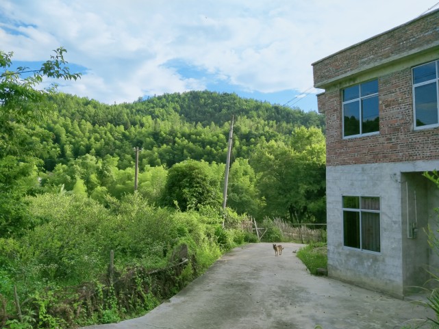 江西赣州上犹县山区农村风景,田园风光,景色秀丽,犹如人间仙境令人
