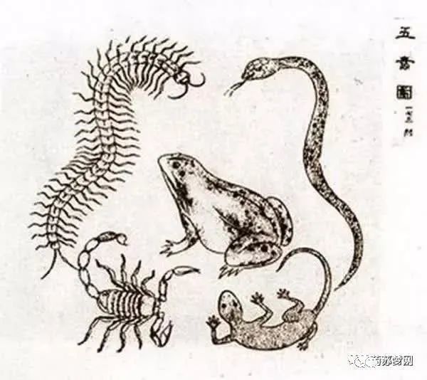 蜮 腾讯网