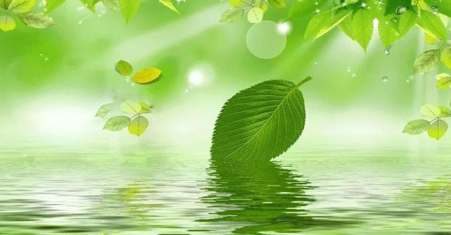 平平淡淡,过好每一天