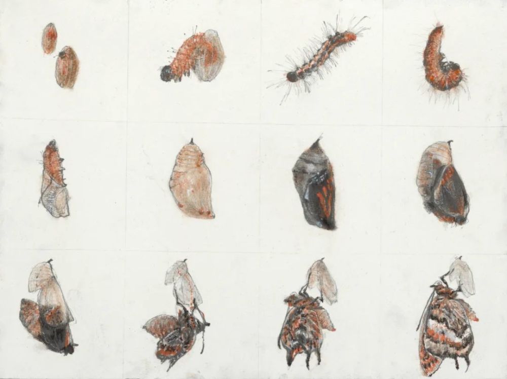 插画|中国美术学院插画与漫画专业毕业作品展