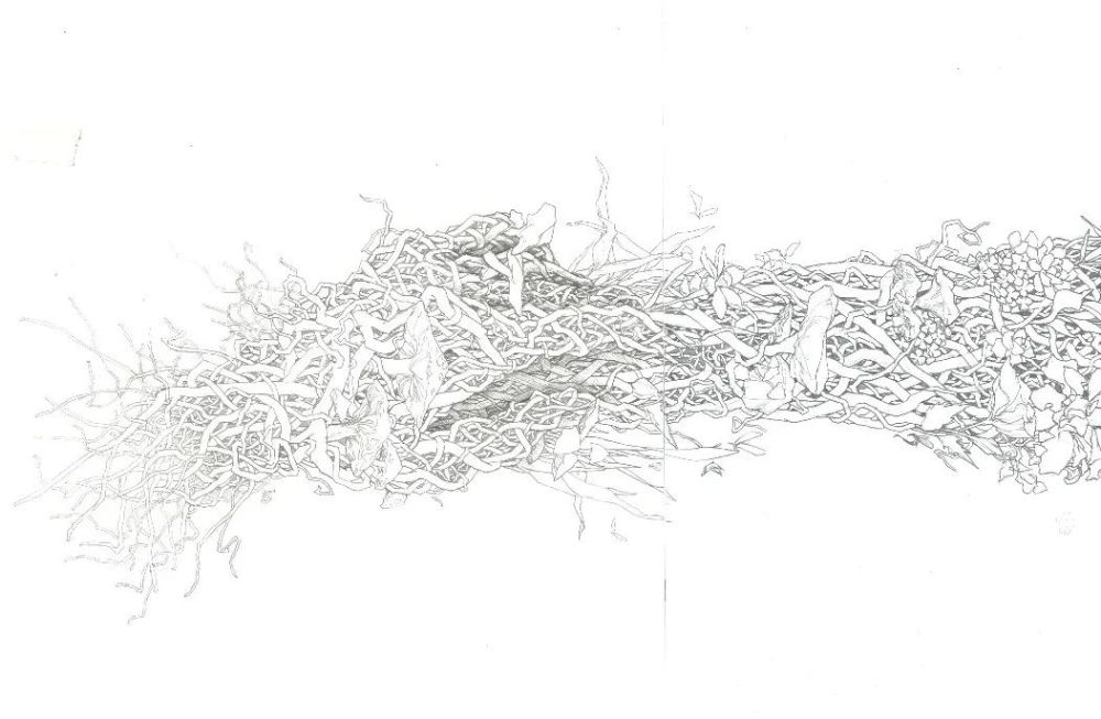 插画|中国美术学院插画与漫画专业毕业作品展