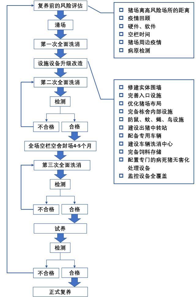 附:豬場恢復生產流程圖