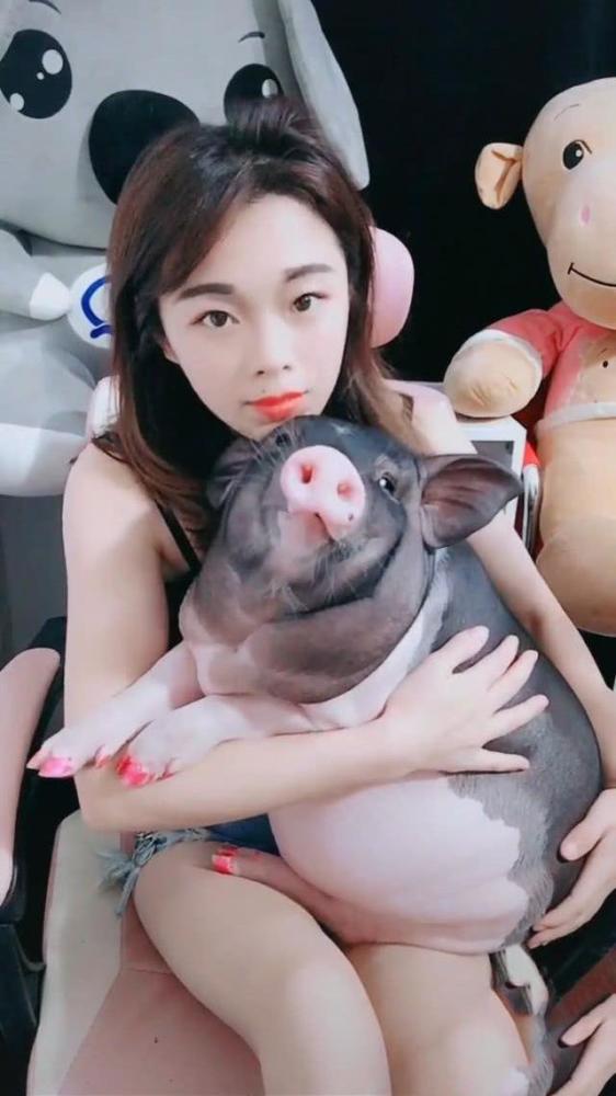 美女抱着一头猪在直播当它动了一下的时候在场观众沸腾了