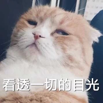 搞笑表情包:看透一切的目光