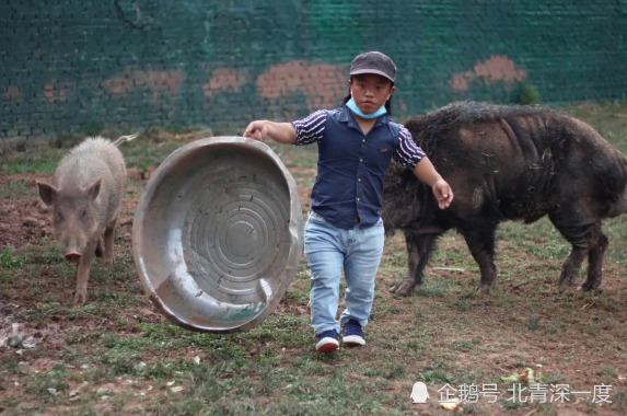 袖珍人与“小人国”:有女孩和常人恋爱离开 失恋后重返