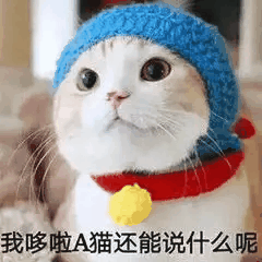 猫咪表情包我哆啦a猫还能说什么呢