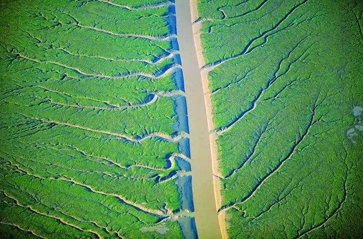 地理拓展河流水系的形式及发展