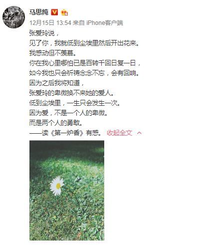 硬凹学霸人设的明星们 马思纯 靳东 江一燕 你还能列举出几个 腾讯网