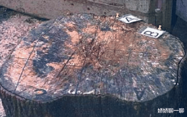 全球最恐怖杀人案回顾 49名女性接连被害 凶手 我把她们喂了猪 杀人犯 被害人