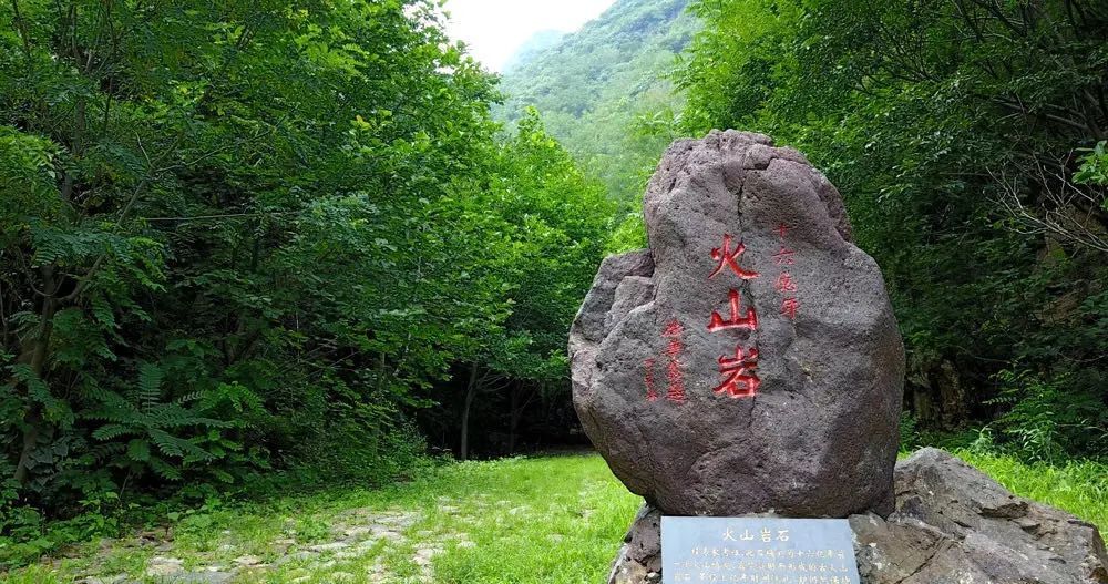 天津“避暑游”推荐！炎炎夏日何处去，哪凉快