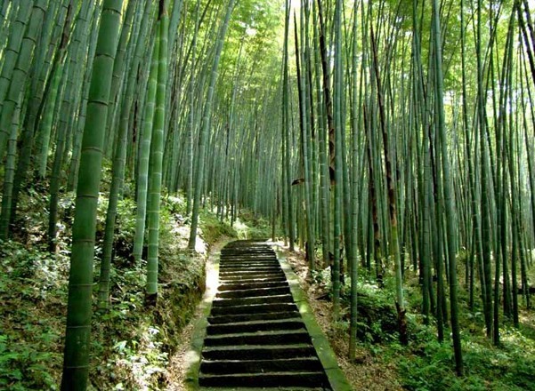 大竹五峰山游记