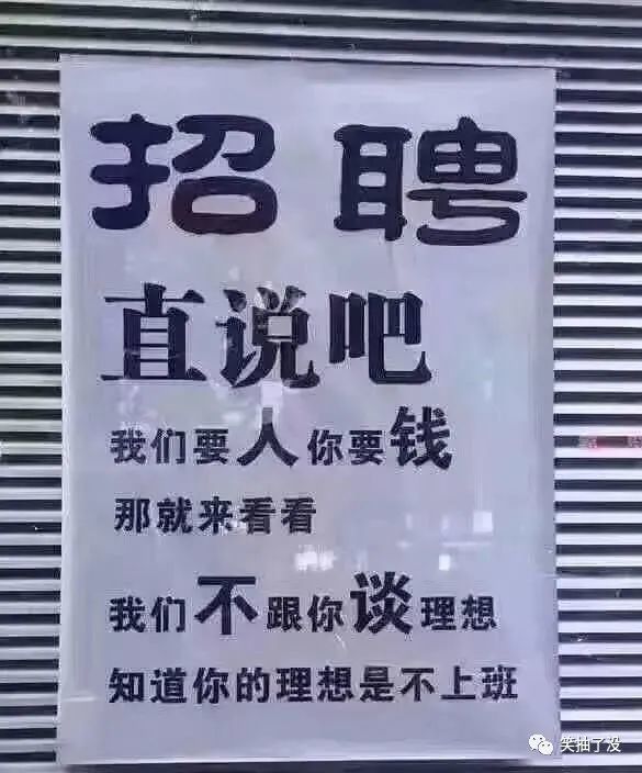 老闆,別說什麼大實話,我就想找個工作而已