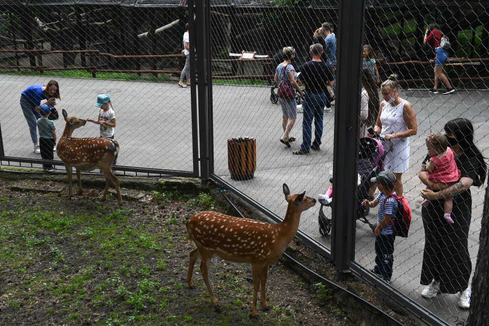 俄罗斯:动物园重开