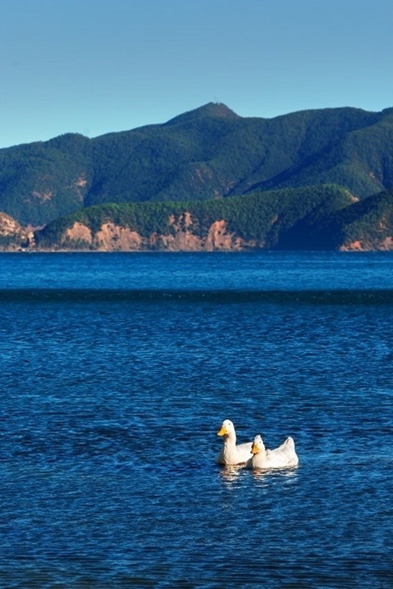 你是我遇见过最美的风景·泸沽湖