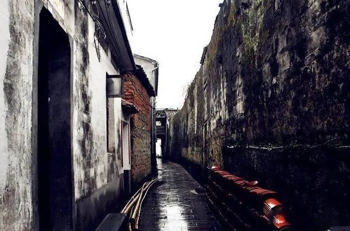 木槿|盛夏花事，优雅华尔兹