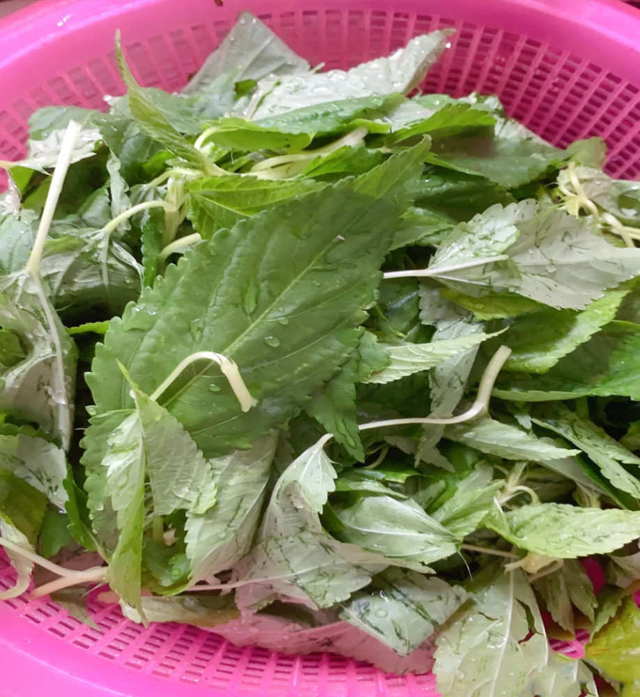 潮汕人必备早餐潮汕麻叶送粥连吃三碗