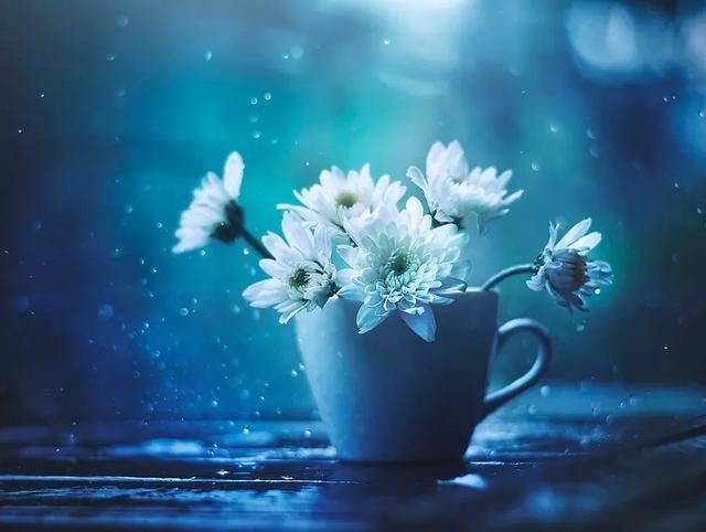 心态平和的人 都赢了 腾讯新闻