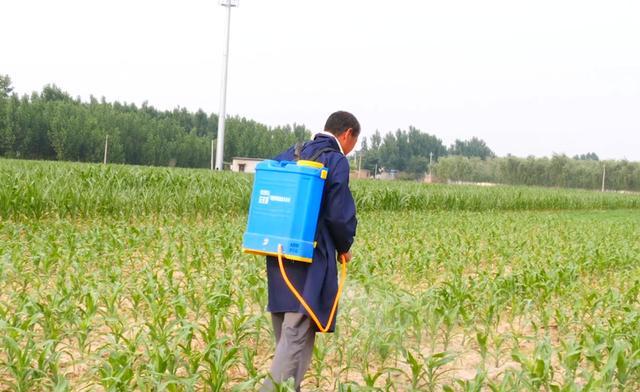 除草剂|除草剂和尿素混用，会有什么效果？看完你就有答案了