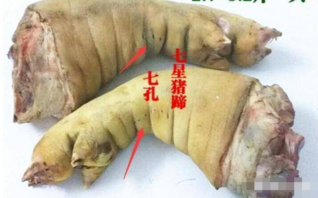 七孔猪的一个重要特点就是猪的前蹄
