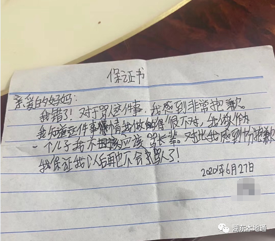 湖东镇这名学生够聪明保证书这样写