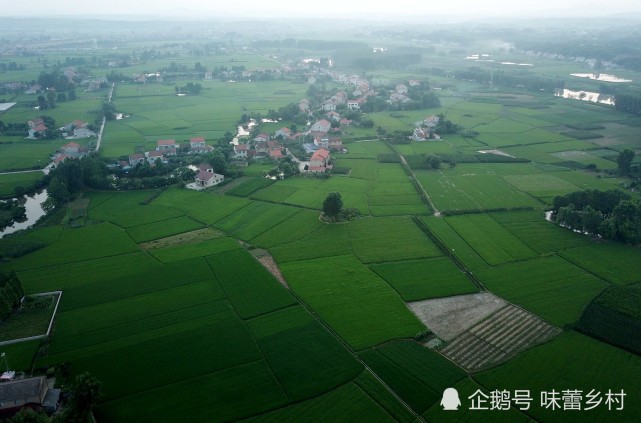湖南澧水流域最大平原--澧县澧阳平原地区