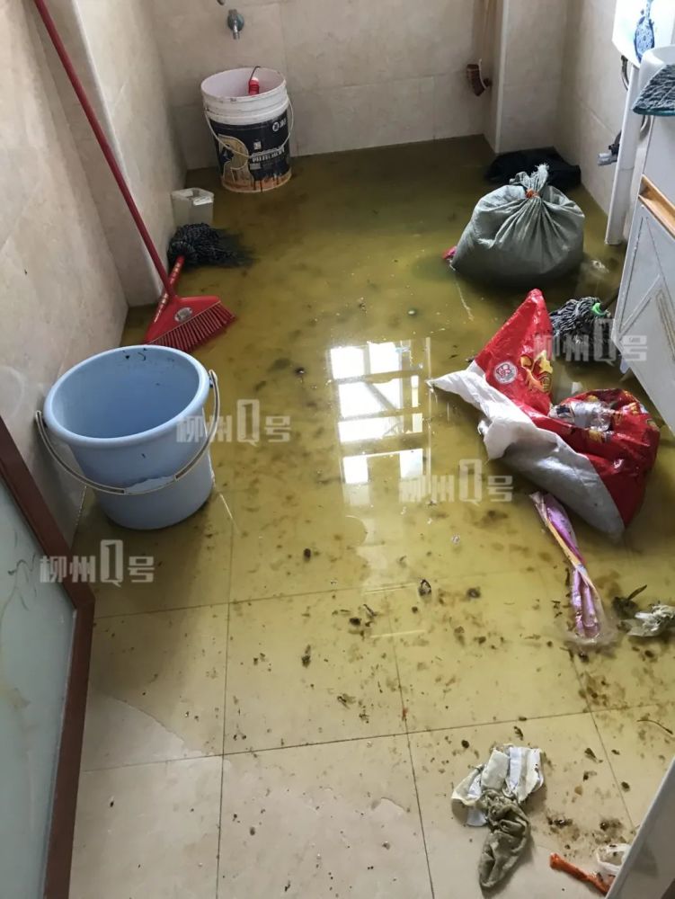 粪水满屋柳州一业主家中厕所冒污水物业建议他和楼上全体用户平摊费用
