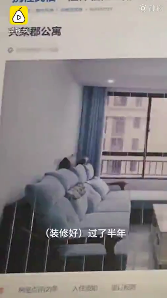 男子桂林旅游时买的新房 却被非法占用改成民宿出租