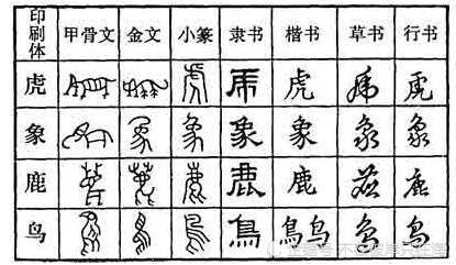 我们的汉字是怎么来的?具体是一个怎样的演变过程?|篆书|象形文字|汉