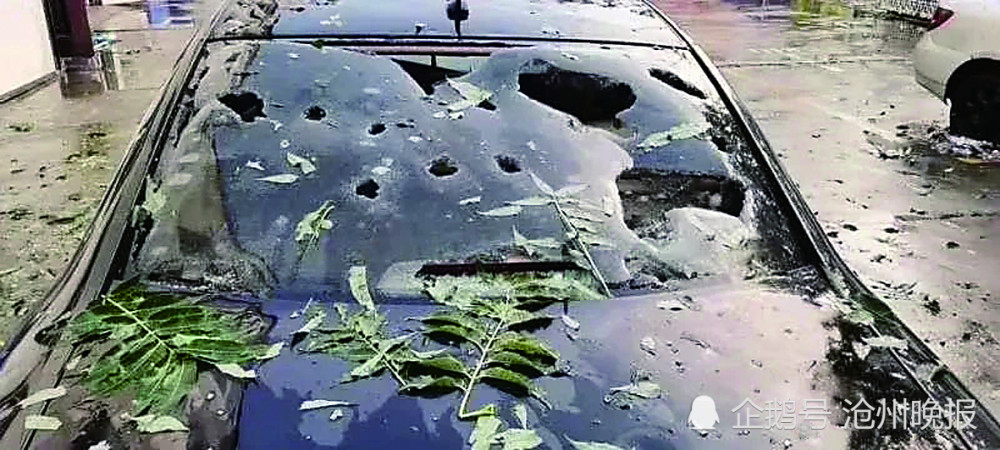 肃宁献县东光等地遭遇冰雹灾害初步预估保险理赔7000余万元