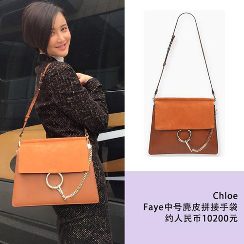 俄罗斯名媛elena perminova同款中号鳄鱼纹路皮革chloe faye包包,专柜