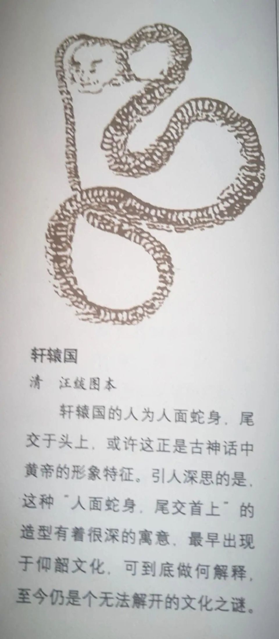 山海经穷山沃野龙鱼白民国