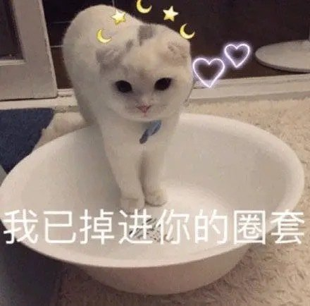 641