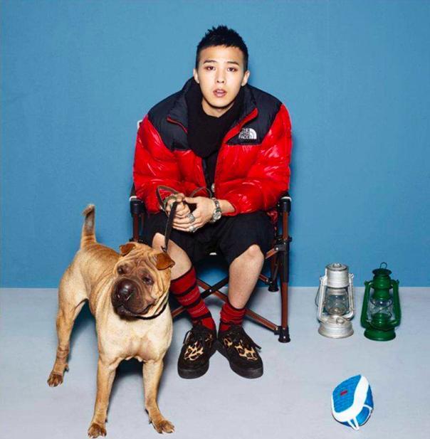 权志龙爱狗人设崩塌爱犬近况曝光问题多生活环境太差被指虐狗