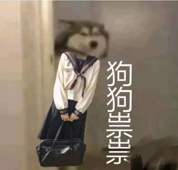 jk表情包 还不快收藏?_腾讯新闻