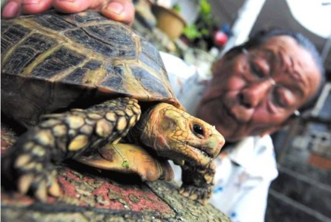 请专家鉴定吓一跳!